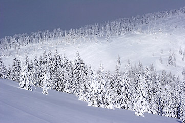 Image showing Ski slope covered with deep snow