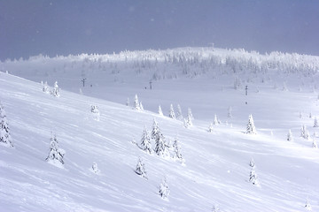 Image showing snow covered mountain slope