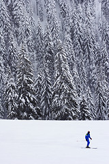 Image showing lone skier