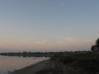Image showing Dark lake 2. Larnaca. Cyprus
