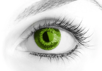 Image showing Beauty big eye.