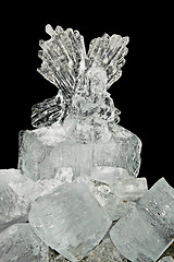 Image showing Ice angel