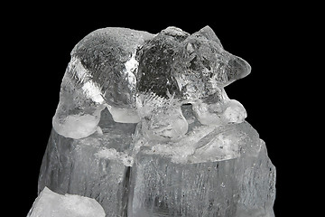 Image showing Ice bear