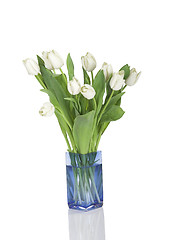 Image showing Tulips