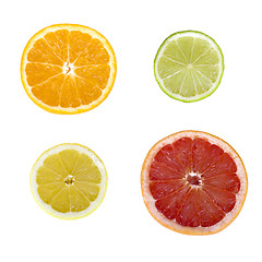 Image showing Citrus fruit slices