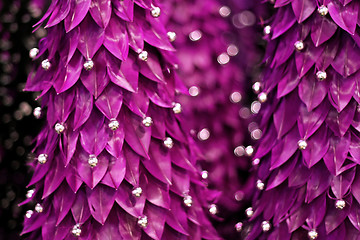 Image showing Abstract purple tree