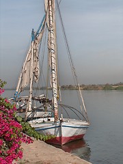 Image showing felucca in the nile