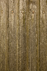 Image showing Wood Texture