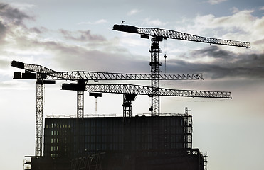 Image showing Construction cranes 