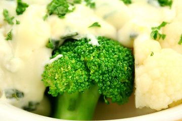 Image showing Broccoli With White Sauce