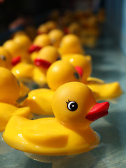 Image showing Rubber Duckies Floating in a Carnival Game