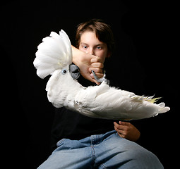 Image showing Child Holding Playful Umbrella Cockatoo Upside Down