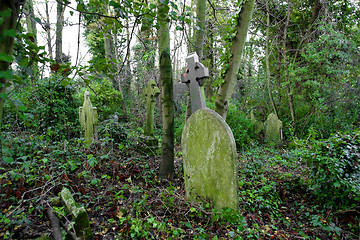 Image showing overgrown grave yard