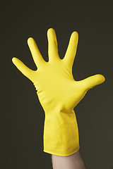 Image showing Protective glove