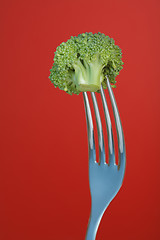 Image showing Broccoli