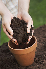 Image showing Gardening