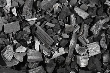 Image showing Charcoal