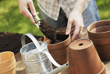 Image showing Potting