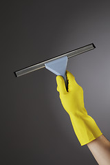 Image showing Squeegee