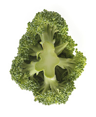 Image showing Broccoli