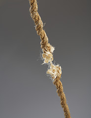 Image showing Breaking rope