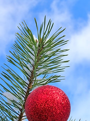 Image showing Christmas tree against blue sky