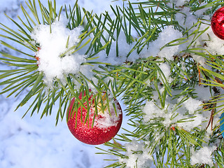 Image showing Christmas tree under snow