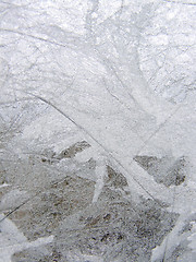 Image showing Frost glass