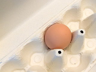 Image showing Single egg