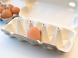 Image showing eggs