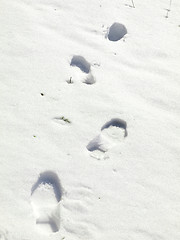 Image showing Foot print