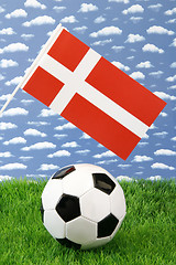 Image showing Danish soccer