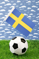 Image showing Swedish soccer