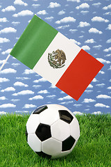 Image showing Mexican soccer