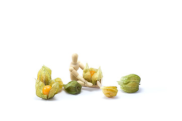 Image showing Wooden man with physalis