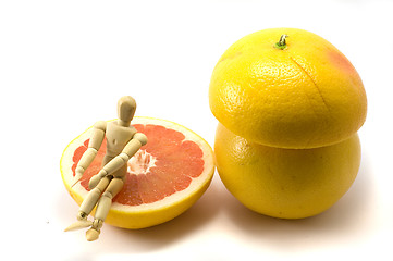 Image showing Woody and grapefruits