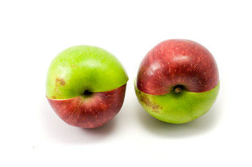 Image showing Mixed red and green apples 