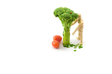 Image showing Wooden man under broccoli tree