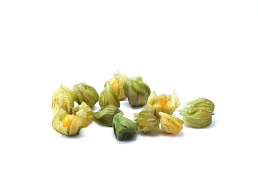 Image showing Physalis