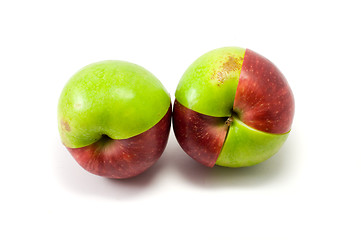 Image showing Mixed red and green apples