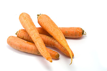 Image showing Carrot