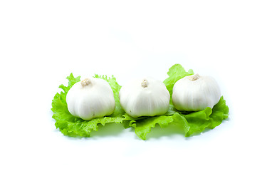 Image showing Garlic