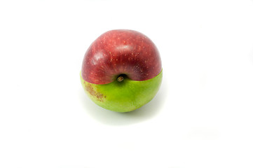 Image showing Mixed red and green apples