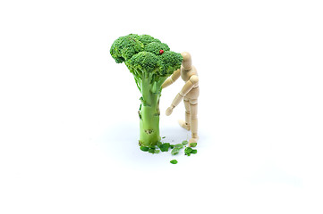 Image showing Wooden man under broccoli tree 