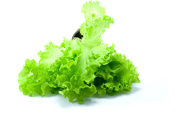 Image showing Green salad