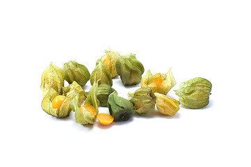 Image showing Physalis