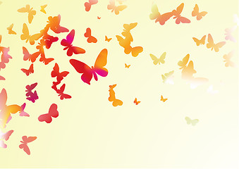 Image showing  butterflies 