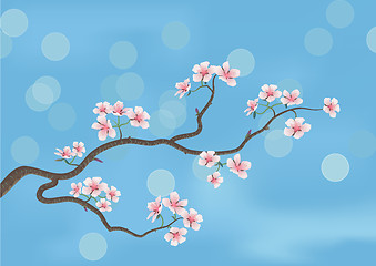 Image showing flowered sakura