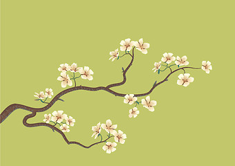 Image showing flowered sakura
