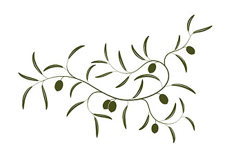 Image showing Olive branch 